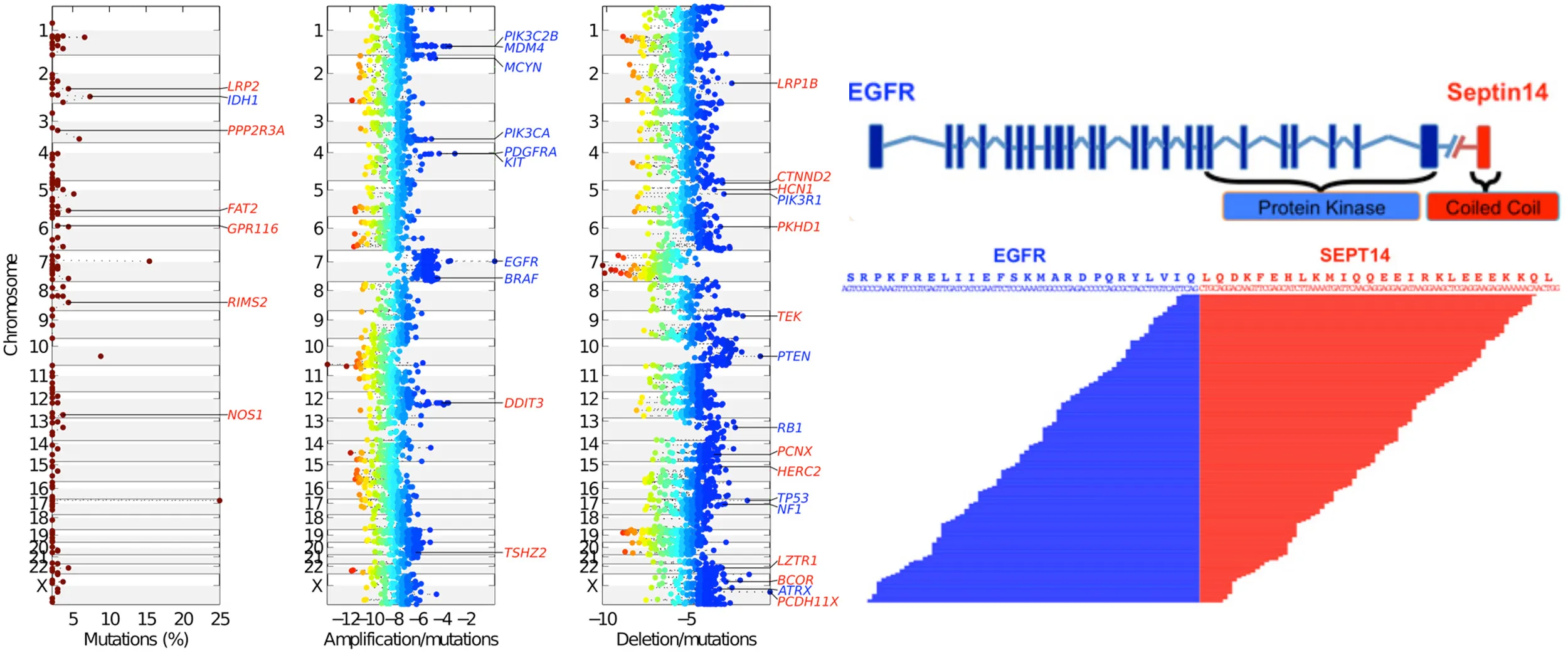 The integrated landscape of driver genomic alterations in glioblastoma.