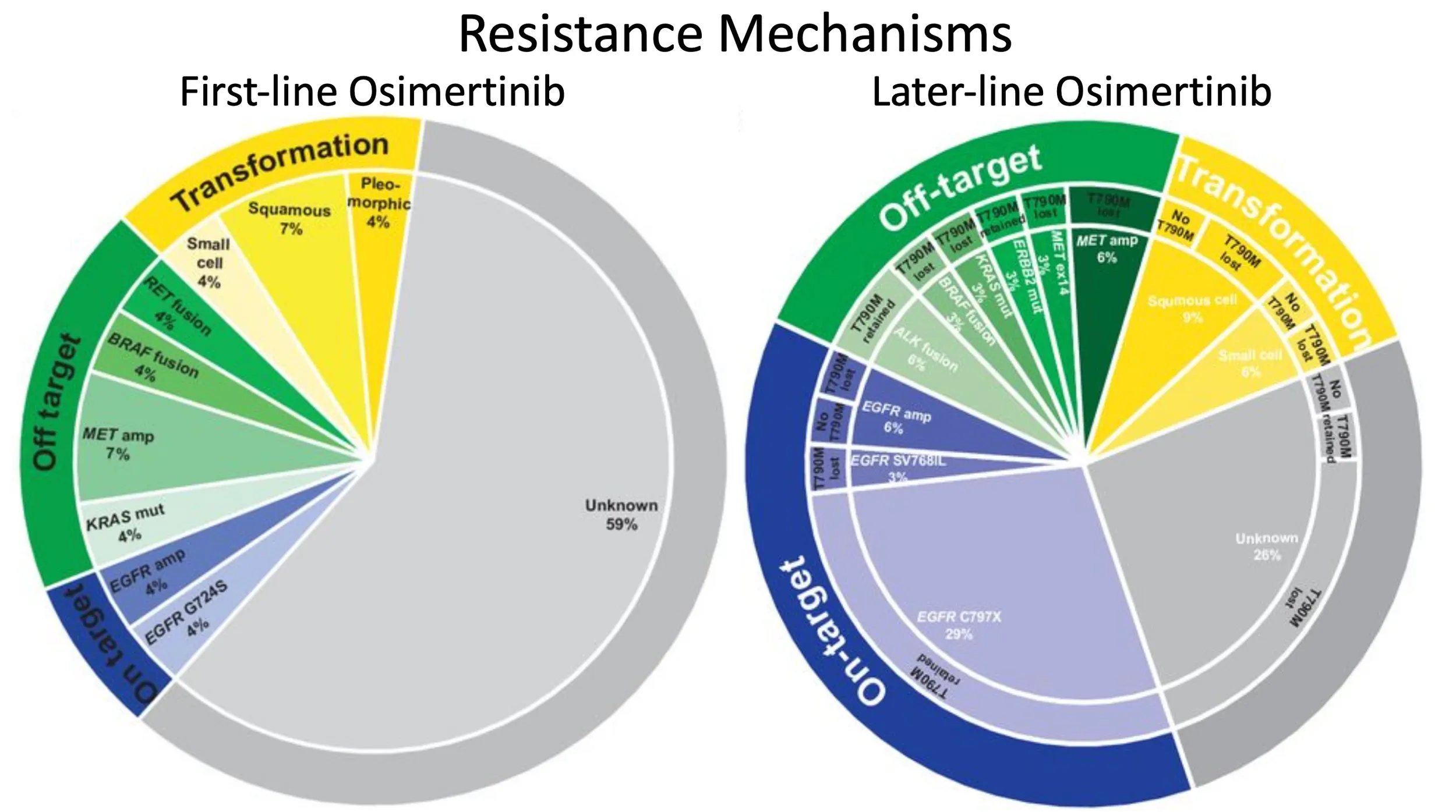 Tumor analyses reveal squamous transformation and off-target alterations as early resistance mechanisms to first-line osimertinib in EGFR-mutant lung cancer.