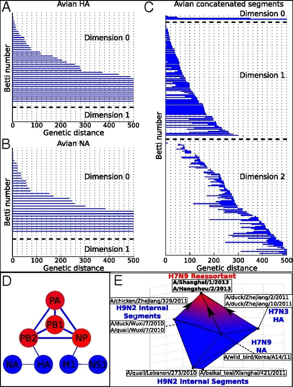 Topology of viral evolution.